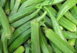 Bhindi