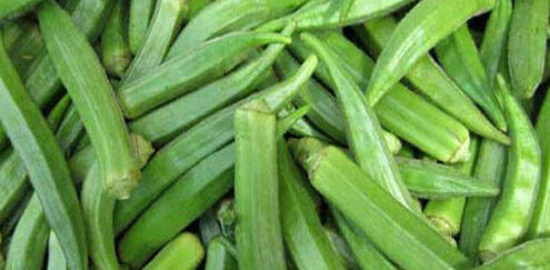 Bhindi