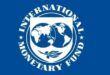 IMF LOGO