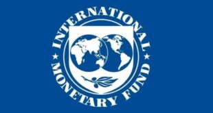 IMF LOGO