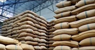 سندھ حکومت کی ذخیرہ اندوزوں کے خلاف بڑی کارروائی، ہزاروں تھیلے برآمد