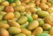 مشرق وسطیٰ بحران کے اثرات: پاکستانی آم کی برآمدات شدید دباؤ کا شکار، برآمدی ہدف میں 30 ہزار ٹن کی کمی