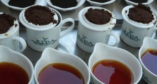 Kenyan export levy may raise tea prices