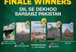 سرسبز نے ’دل سے دیکھو سرسبز پاکستان‘ مہم کے فاتحین کا اعلان کردیا
