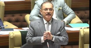شرجیل میمن کا سندھ کے مستقبل کا فیصلہ سندھ اسمبلی سے کرنے پر زور