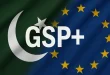 ایف پی سی سی آئی نے ملکی برآمدات میں جی ایس پی پلس کے کردار کو سراہا